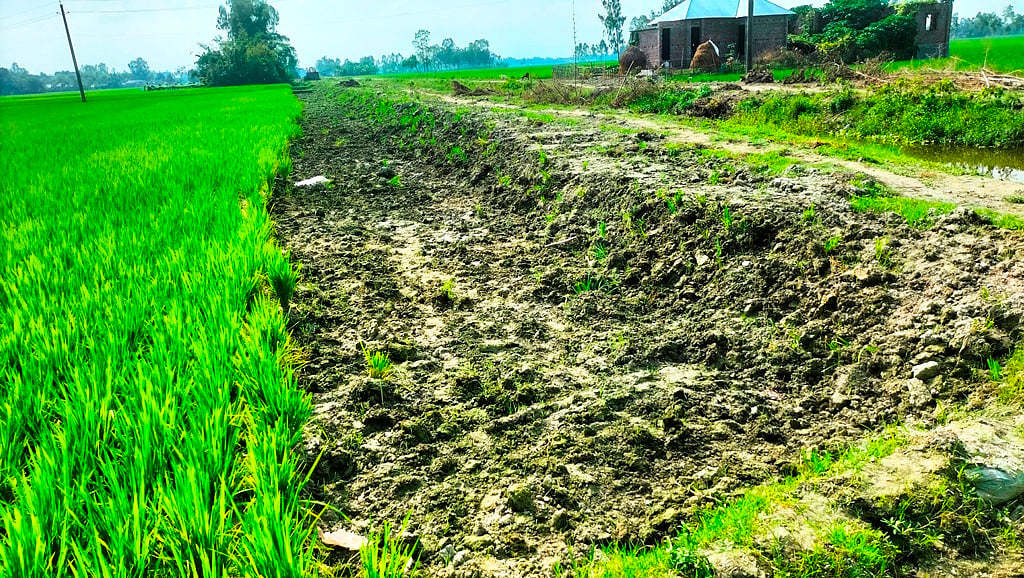 The dam reform is supposed to be the ground, but it's the crop.