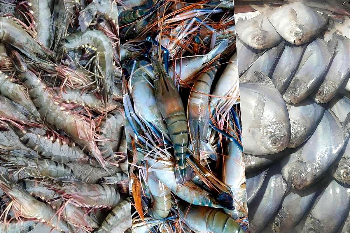 Los regalos y camarones en Kuwait no están disponibles esta vez, y serán tomados de nuevo.