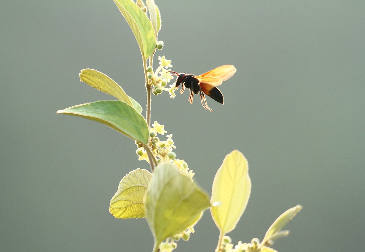 একঝলক (২৯ সেপ্টেম্বর ২০২৬)