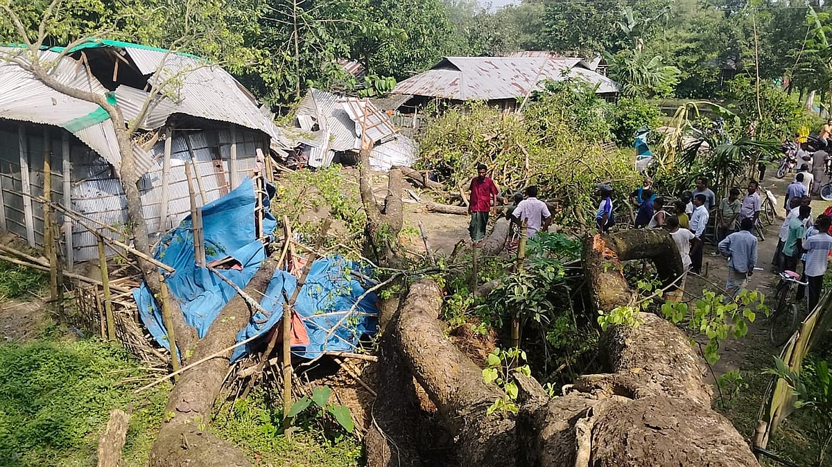 ঝড়–বৃষ্টি নেই, হঠাৎ ঘরের ওপর ভেঙে পড়ল গাছ, গৃহবধূর মৃত্যু