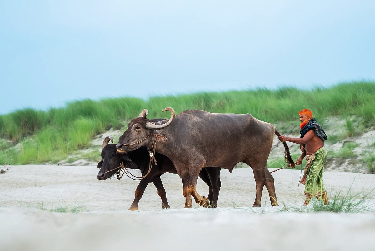 পাঠকের ছবি (৩০ সেপ্টেম্বর ২০২৬)
