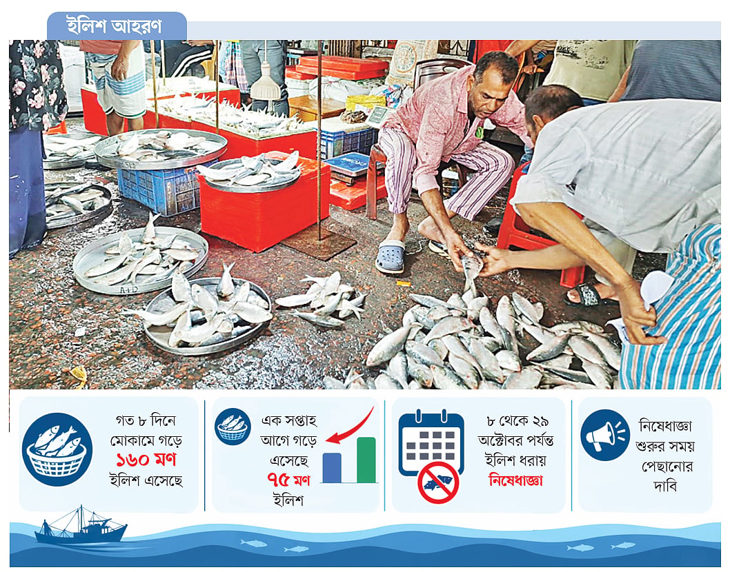ইলিশ আহরণ বাড়ল শেষ সময়ে