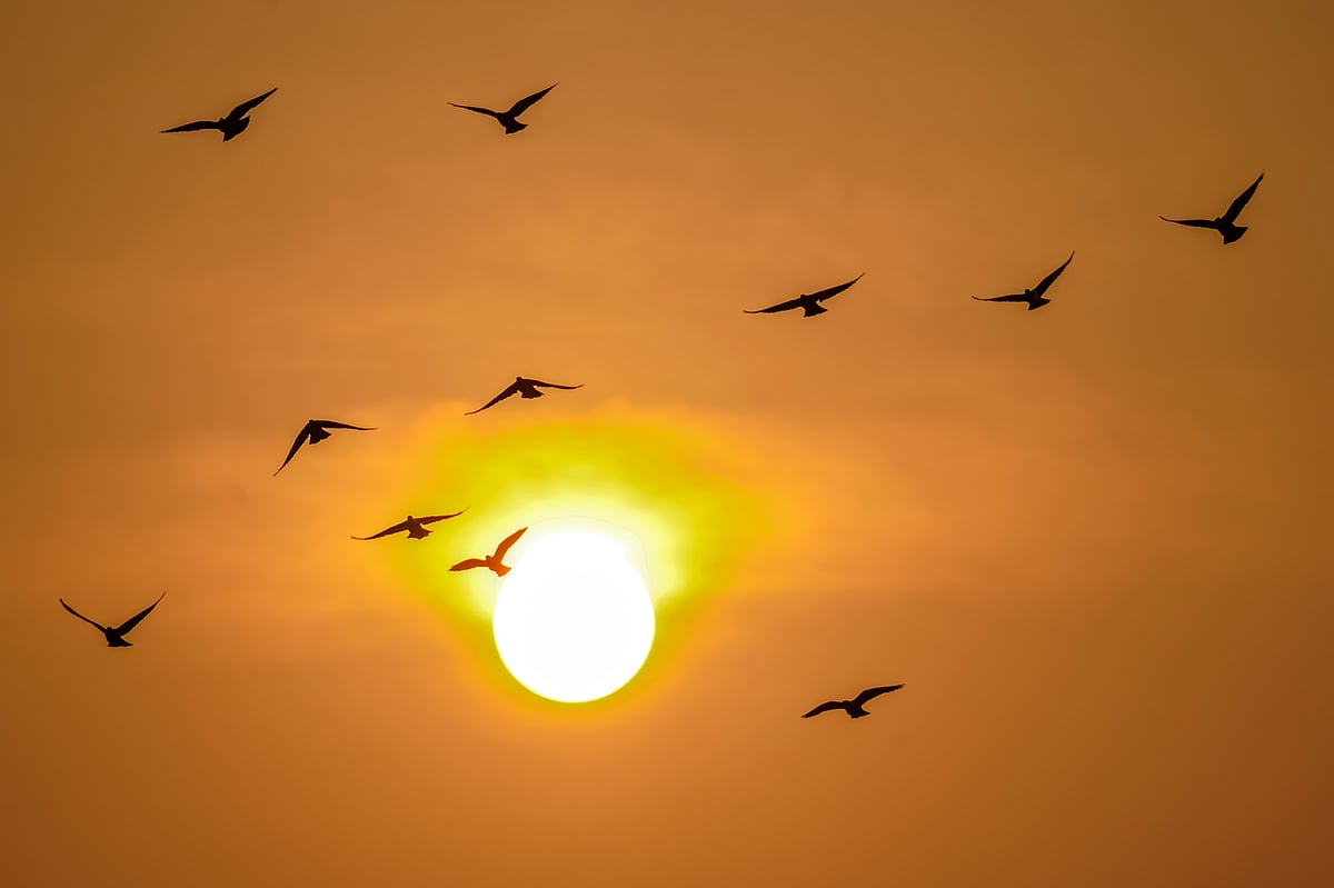 একঝলক (০২ অক্টোবর ২০২৬)