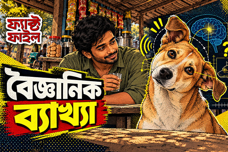 কুকুর কেন মাথা হেলিয়ে তাকায়