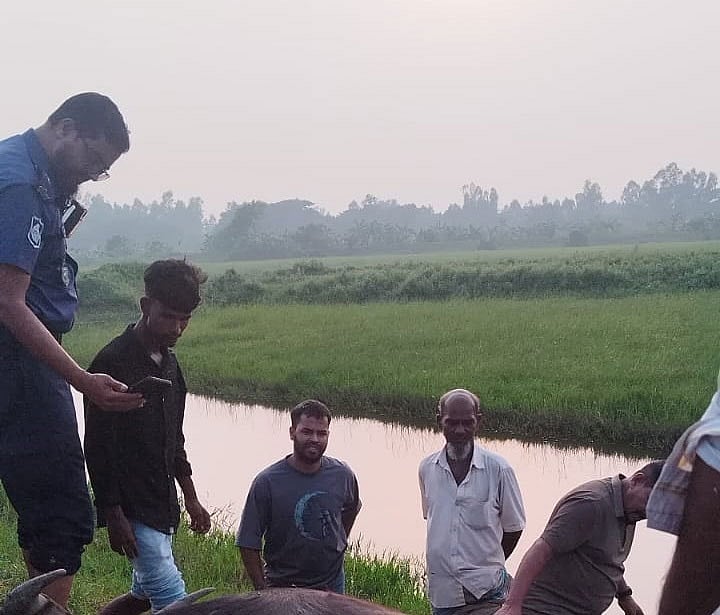 কারা, কেন হাতুড়ি দিয়ে পিটিয়ে মারল দুটি মহিষকে