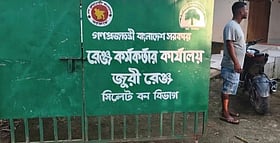 জলাশয় সেচতেই ৭ ফুট লম্বা অজগর, একা ধরে বন বিভাগে দিলেন তরুণ