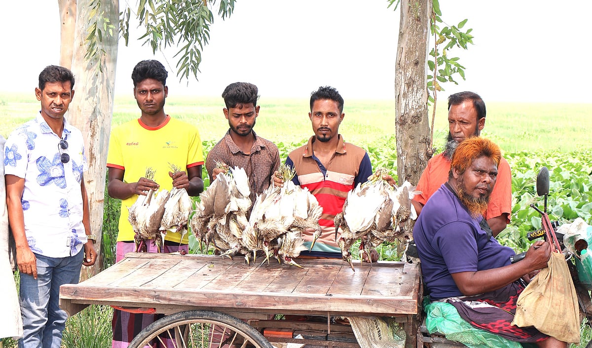 ভ্যানচালকের পিছু নিয়ে তিন শিকারি আটক, বস্তায় ছিল জবাই করা বক