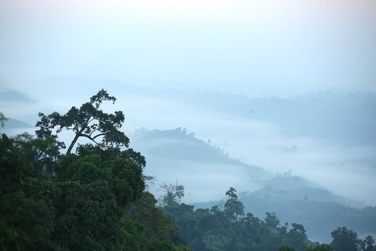 পাহাড়ের সকালে জীবনের ব্যস্ততা