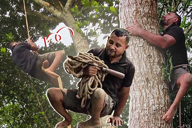 দুই পা অচল, তবু ৩০ বছর ধরে গাছের মগডালে তাঁর জীবিকা