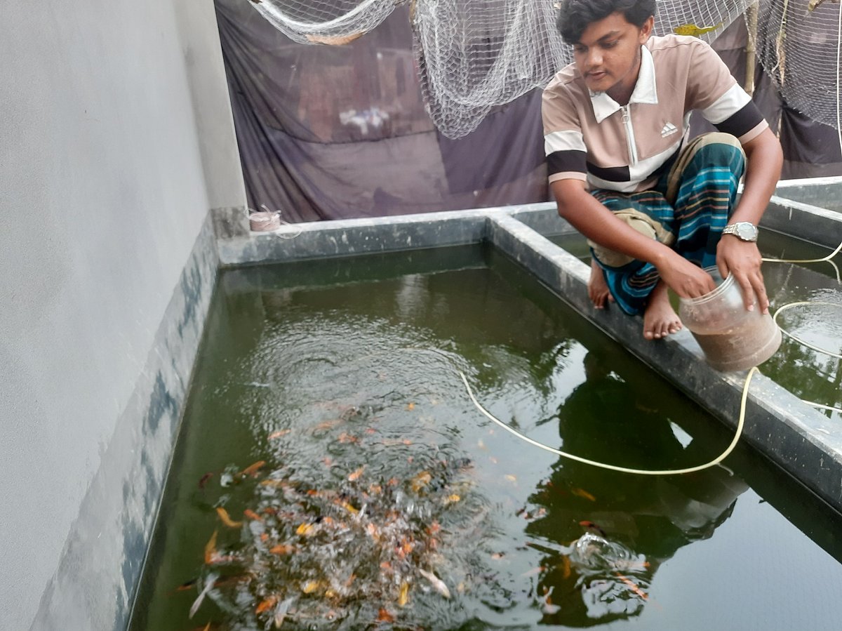 পড়েন মাদ্রাসায়, ৪০ টাকার দুটি মাছ থেকে গড়েছেন ৩০ লাখের হ্যাচারি