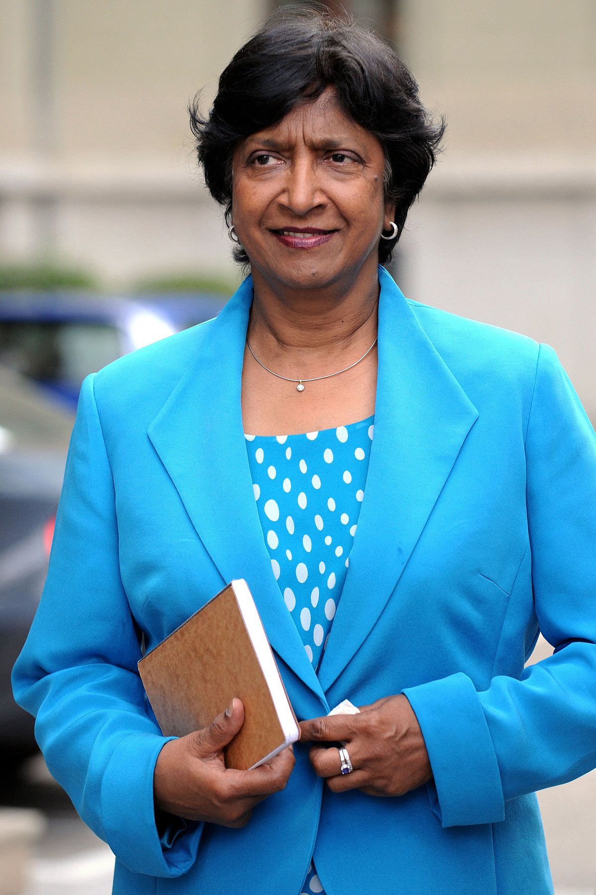 NV Pillai was the head of the UN Commission for alleged genocide against Israel in Gaza