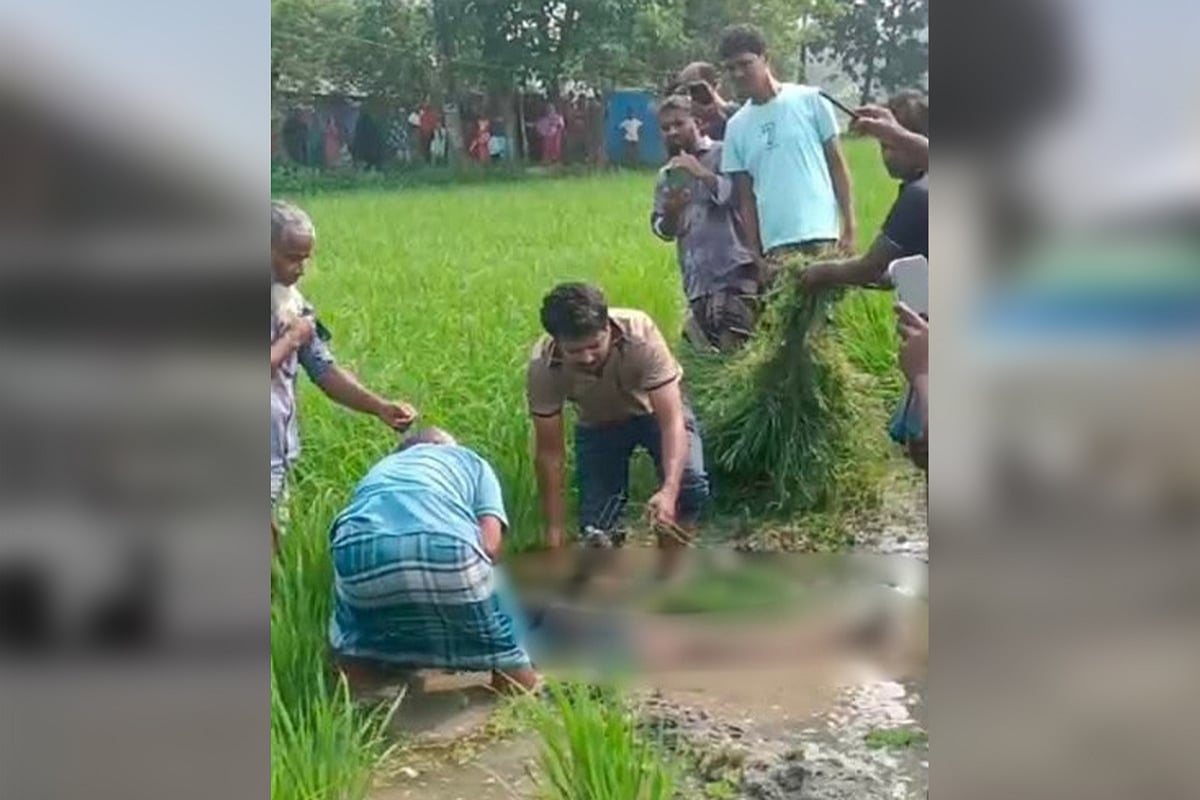 ইঁদুর মারা বৈদ্যুতিক ফাঁদে জড়িয়ে ছিল কৃষকের লাশ