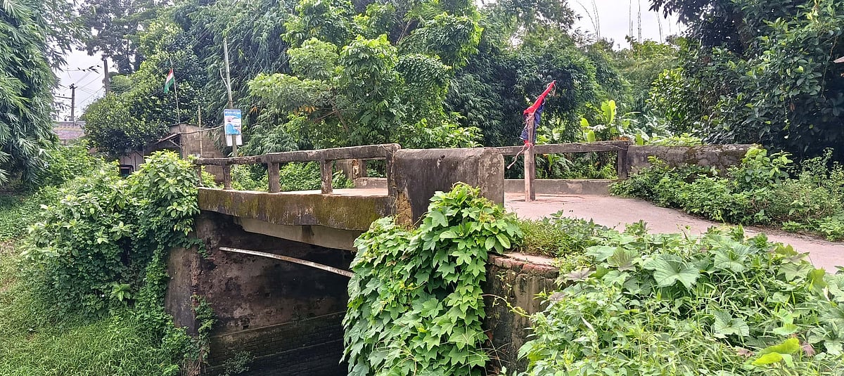সেতুর ওপর তৈরি হওয়া গর্তে খুঁটি দিয়ে লাল পতাকা টাঙানো হয়েছে। সম্প্রতি ফেনীর বিরিঞ্চি-সোনাপুর আঞ্চলিক সড়কে