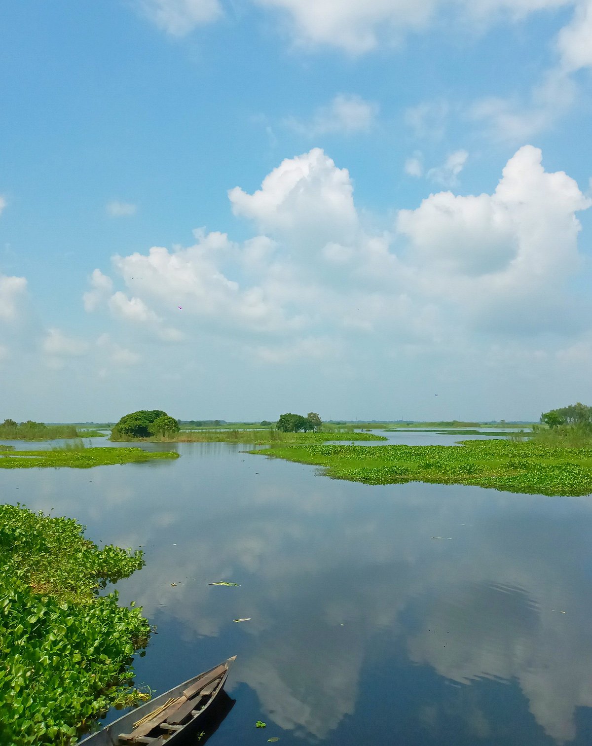 শরতের মনভোলানো স্নিগ্ধ সৌন্দর্য