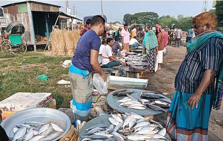 মা ইলিশ পাহারায় যে ‘বাহিনী’ দরকার