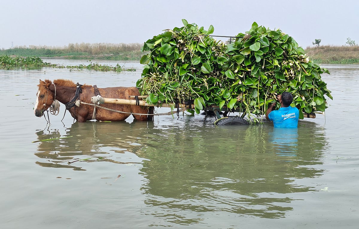 পাঠকের ছবি (১৪ অক্টোবর ২০২৬)