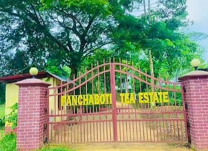 চা–বাগানের সামনে ওত পেতে ছিল ছিনতাইকারীরা, ব্যবস্থাপকসহ দুজনকে কুপিয়ে ৭ লাখ ২০ হাজার টাকা ছিনতাই