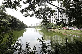 গুলশান থেকে যুবকের ভাসমান লাশ উদ্ধার