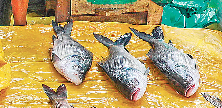 মাছের হাটে বিক্রি বেশি