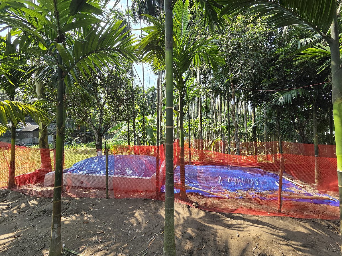 ২১ দিনে ডেঙ্গুতে দুই ছেলেকেই হারালেন মা–বাবা