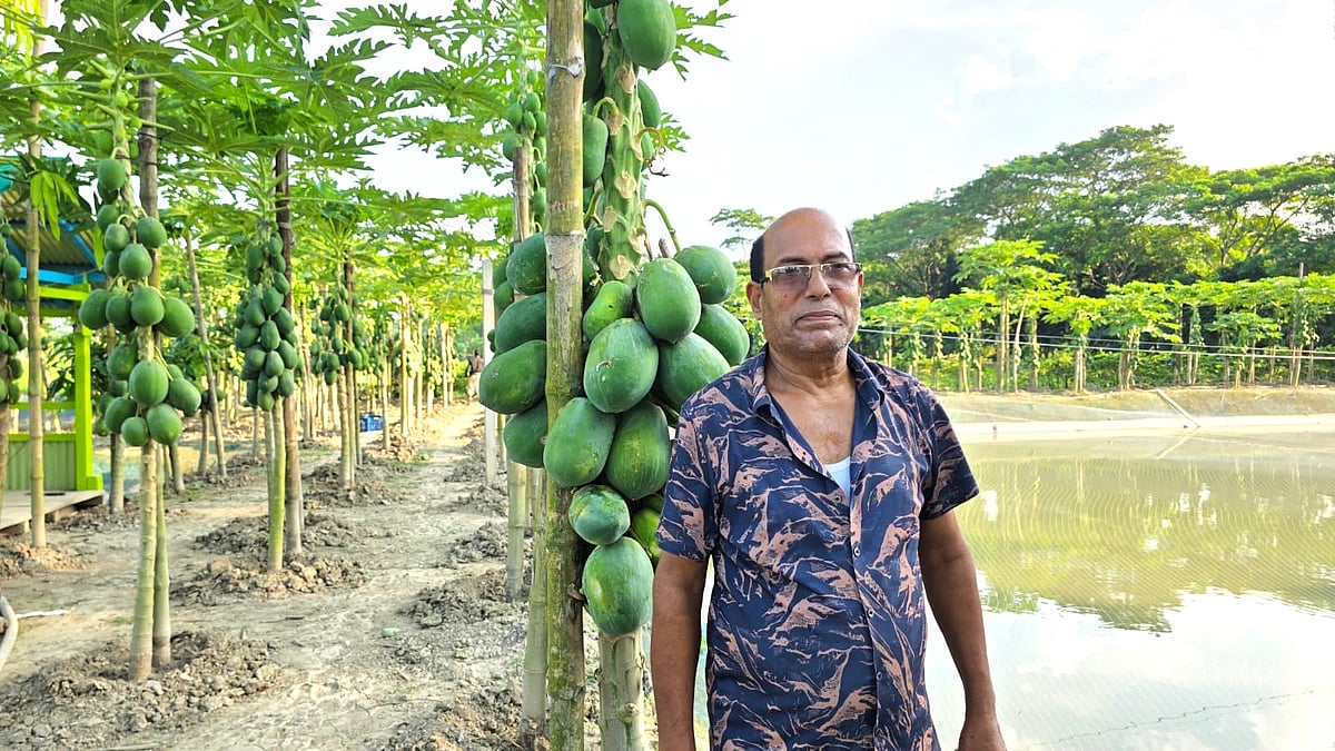 নিজের বাগানে পরিচর্যার কাজ করছেন সুমন আহমেদ। বৃহস্পতিবার দুপুরে বরিশালের বাবুগঞ্জ উপজেলার চাঁদপাশা ইউনিয়নের বায়লাখালী গ্রামে