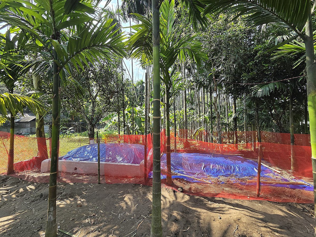 ডেঙ্গুতে দুই ছেলেকেই হারালেন মা–বাবা