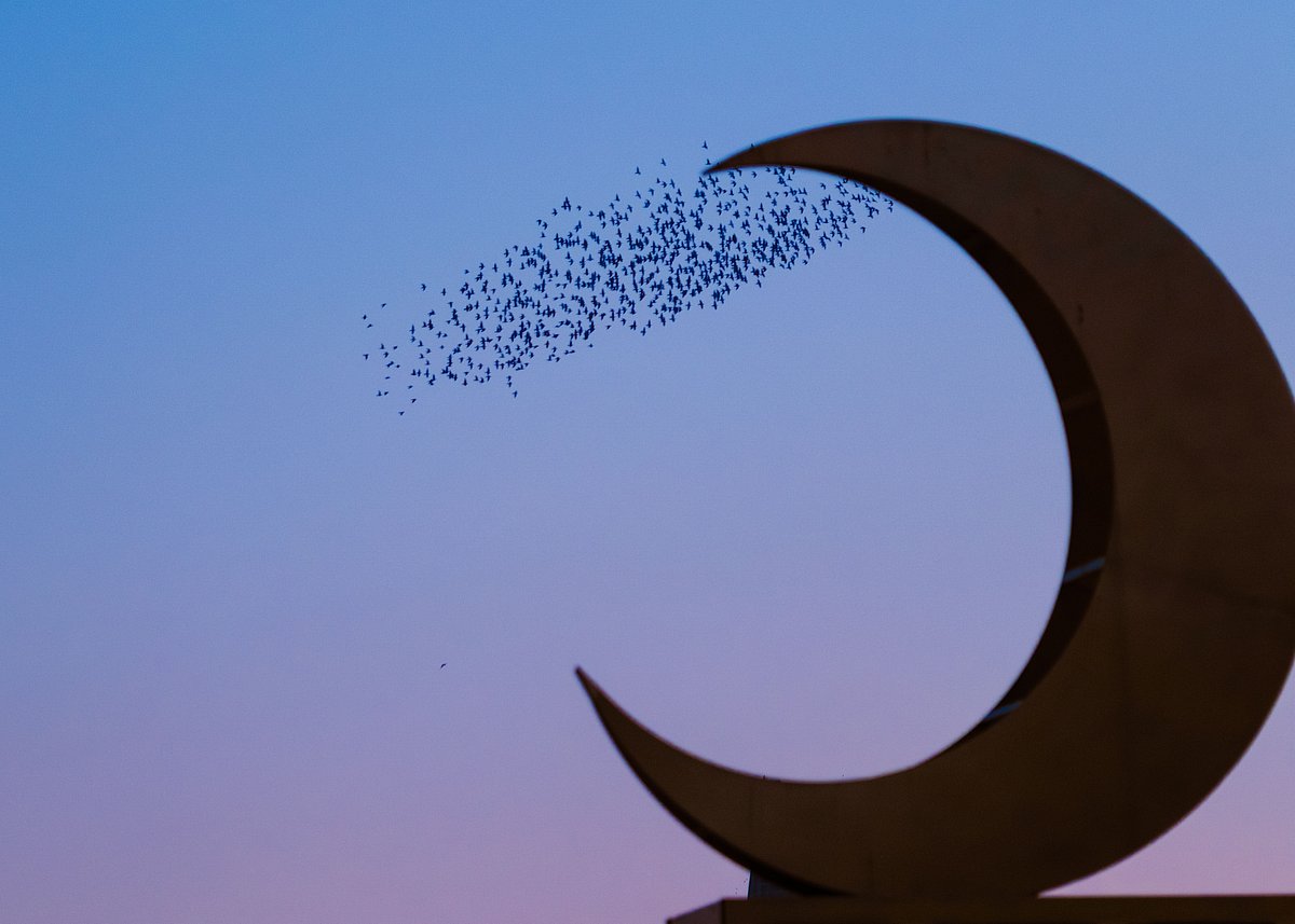 ‘আল-আবওয়া’: নবীজির মা যেখানে মারা যান
