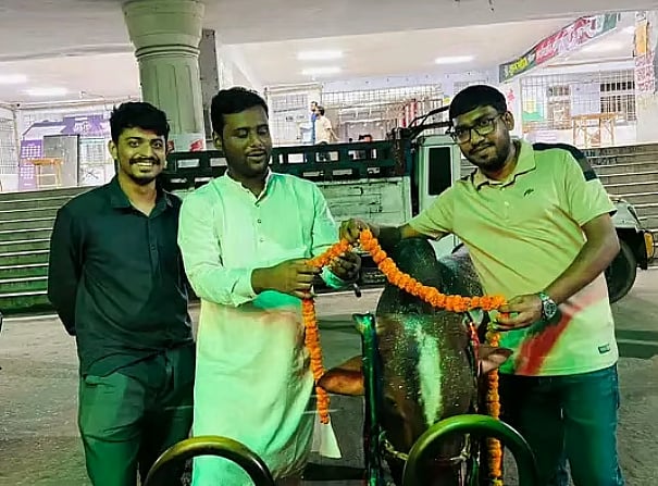 গরু নিয়ে রাজনীতির দুই পিঠ