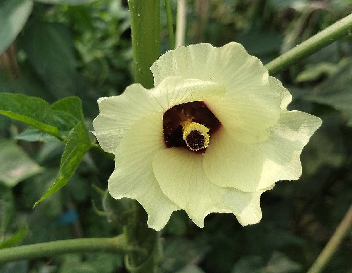 একঝলক (১৭ অক্টোবর ২০২৬)