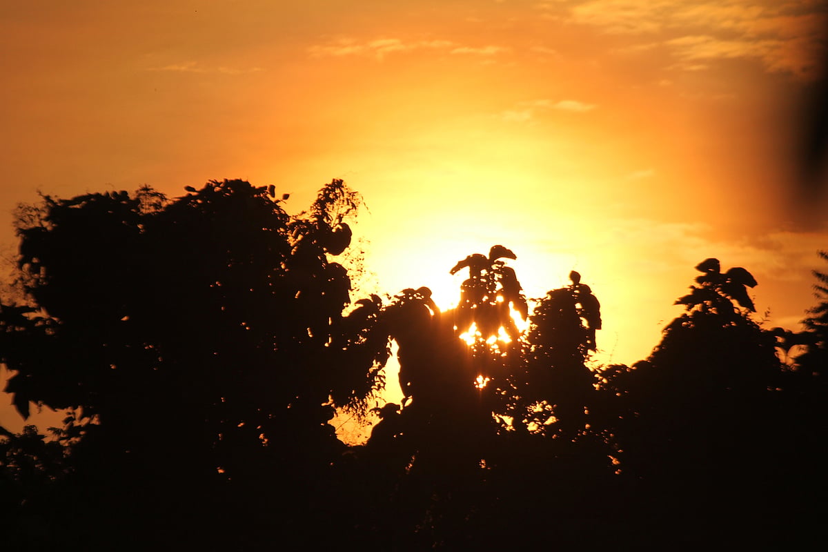 একঝলক (১৮ অক্টোবর ২০২৬)