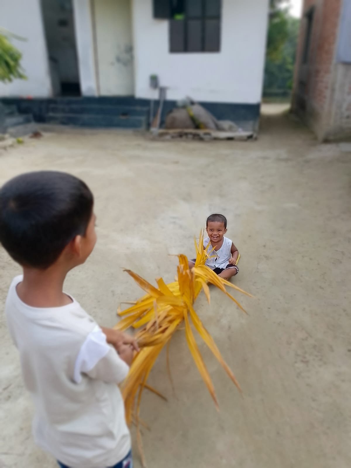 পাঠকের ছবি (১৮ অক্টোবর ২০২৬)