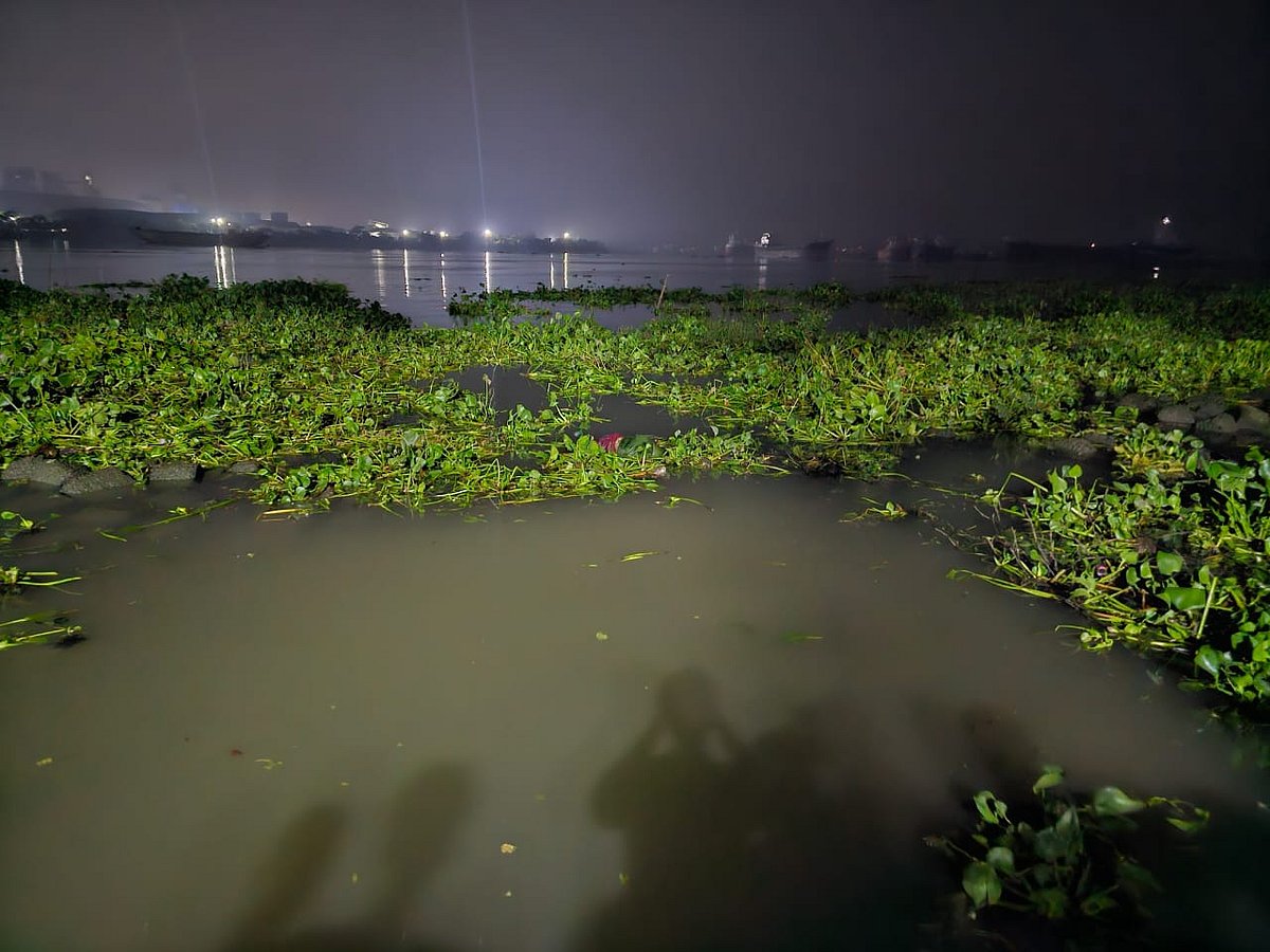 ধলেশ্বরী নদীতে কচুরিপানার সঙ্গে ভাসছিল কিশোরীর মরদেহ