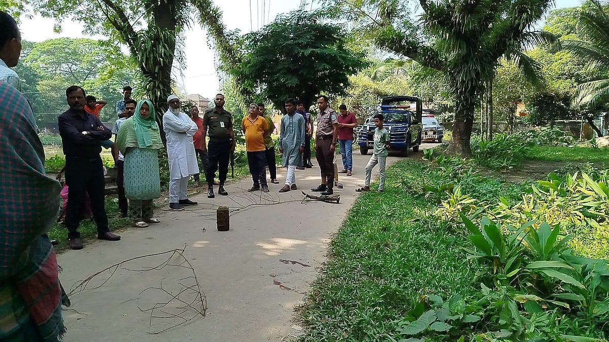 প্রবাসীর ঠিকানা জানতে চেয়ে অস্ত্র বের করে মুখোশধারী, ভয়ে দৌড় দিতেই গুলি