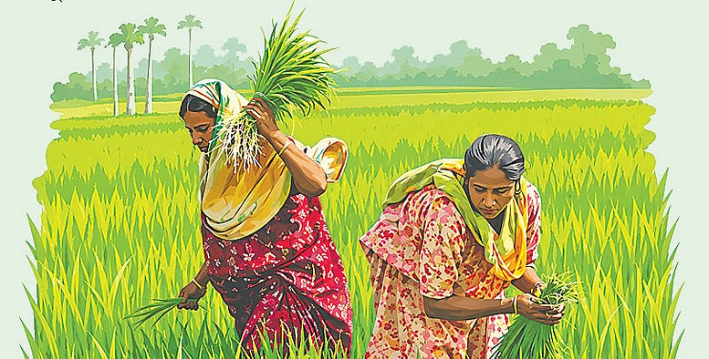 বাজার ও বৈশ্বিক রাজনীতির সঙ্গে গ্রামীণ নারীর লড়াই