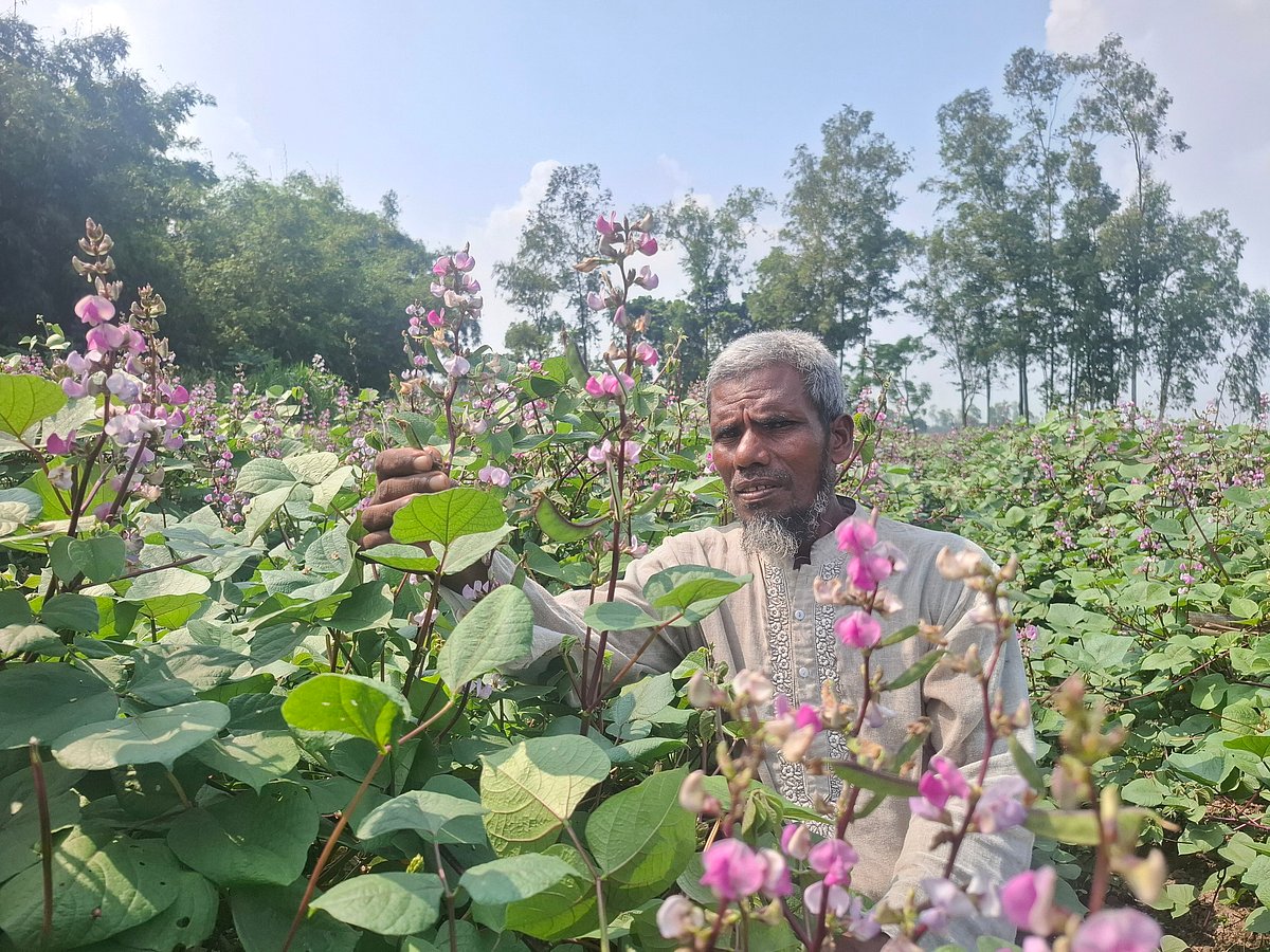 একঝলক (২০ অক্টোবর ২০২৬)