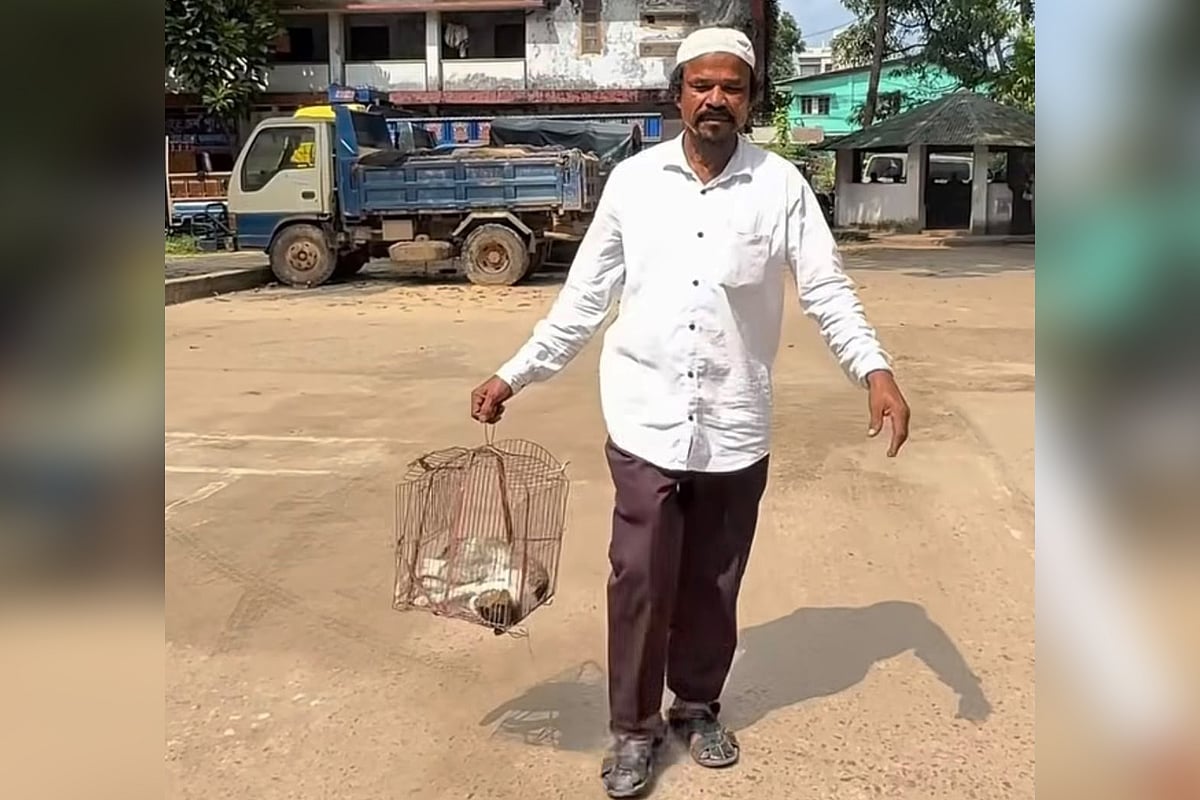 পোষা বিড়ালের মৃতদেহ নিয়ে থানায় মালিক, প্রতিবেশী নারীর বিরুদ্ধে পিটিয়ে হত্যার অভিযোগ