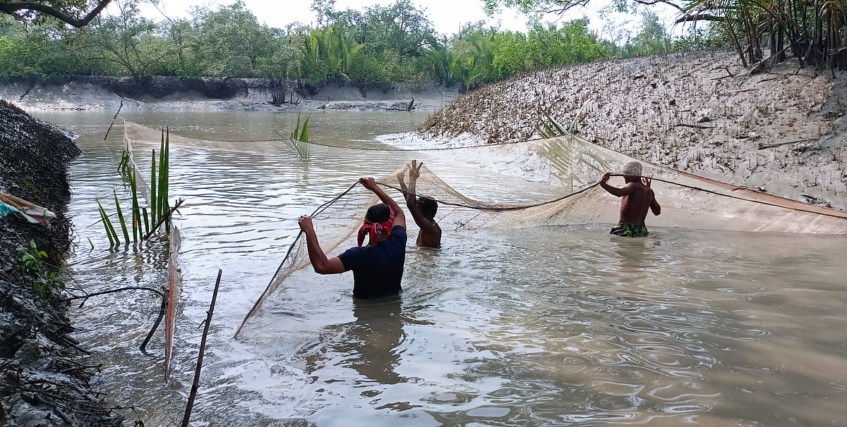 নীরব বসন্তের কালে অপরাধী ধরা যায়, ছোঁয়া যায় না