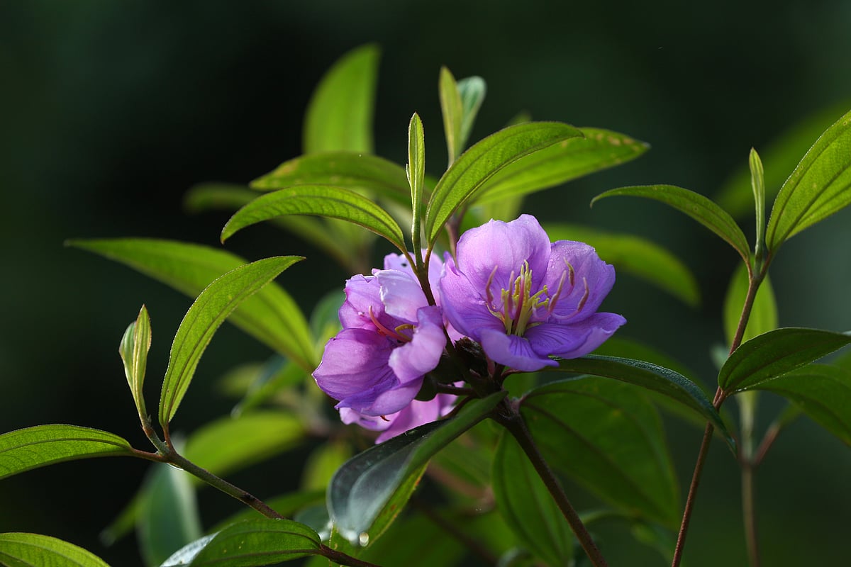 একঝলক (২১ অক্টোবর ২০২৬)