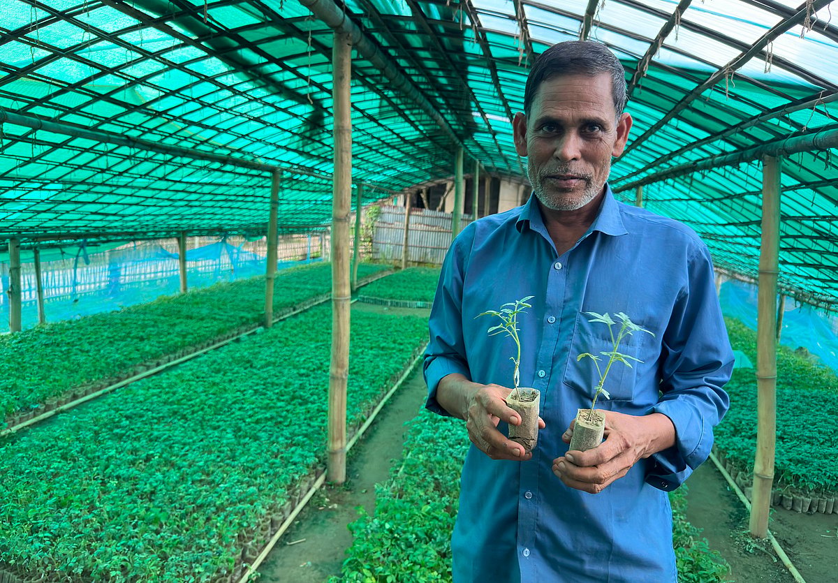 গ্রাফটিং করে তৈরি করা টমেটোর চারা হাতে এক কৃষক। সম্প্রতি মৌলভীবাজারের কমলগঞ্জের আদমপুর এলাকায়