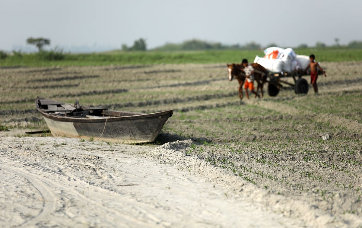যমুনার ধু ধু বালুচরে বাহন ঘোড়ার গাড়ি