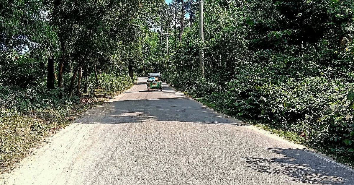 দুই পাশে ঘন জঙ্গল আর পাহাড়। মাঝখানে পিচঢালাই সড়ক। প্রাকৃতিক সৌন্দর্যে ঘেরা এই ঈদগাঁও-ঈদগড়-বাইশারি সড়কে চলাচলে এখন আতঙ্ক থাকেন লোকজন। সম্প্রতি তোলা