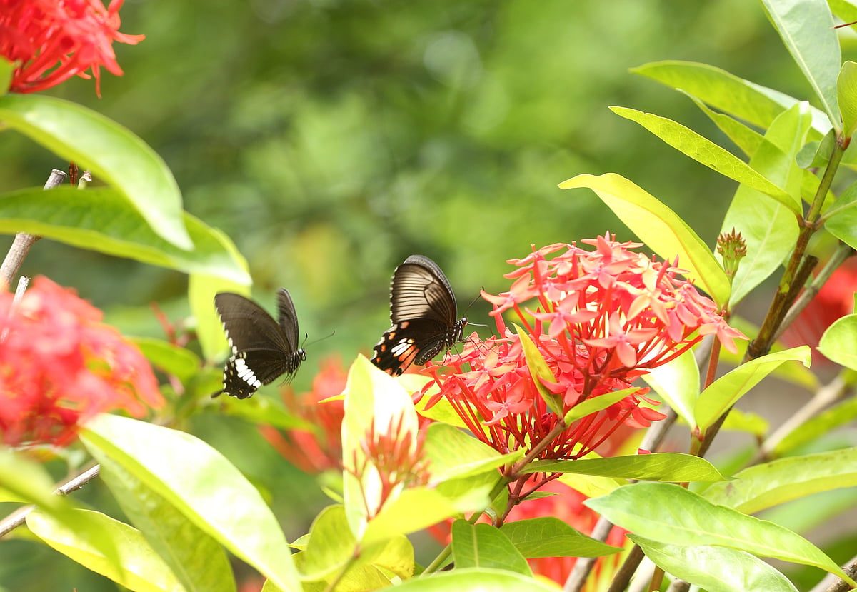 একঝলক (২২ অক্টোবর ২০২৬)