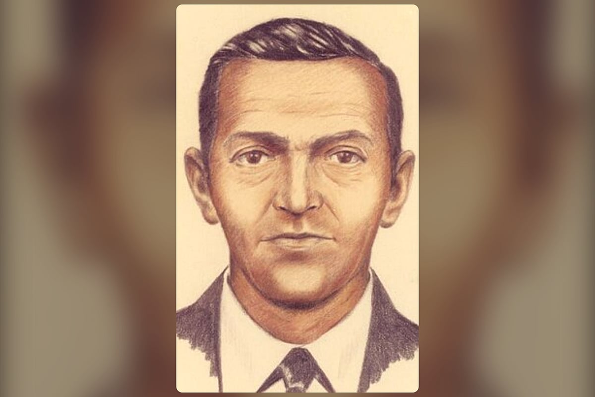 আকাশে উড়োজাহাজের দরজা দিয়ে লাফিয়ে অদৃশ্য ছিনতাইকারী