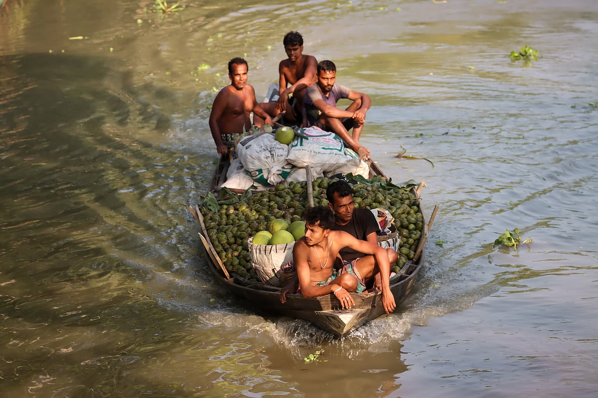আমড়ার মৌসুমে জমজমাট বেচাকেনা