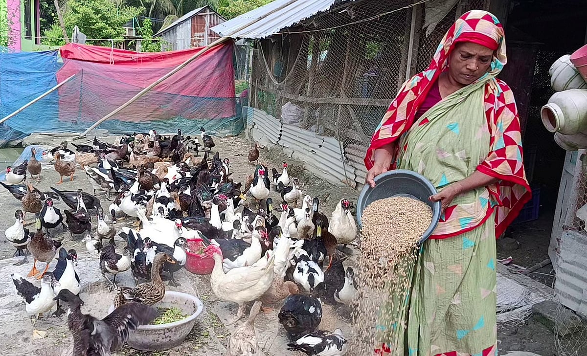 ১০টি হাঁসের ডিম দিয়ে শুরু, এখন ১৬ একর খামারের মালিক বিবি রহিমা