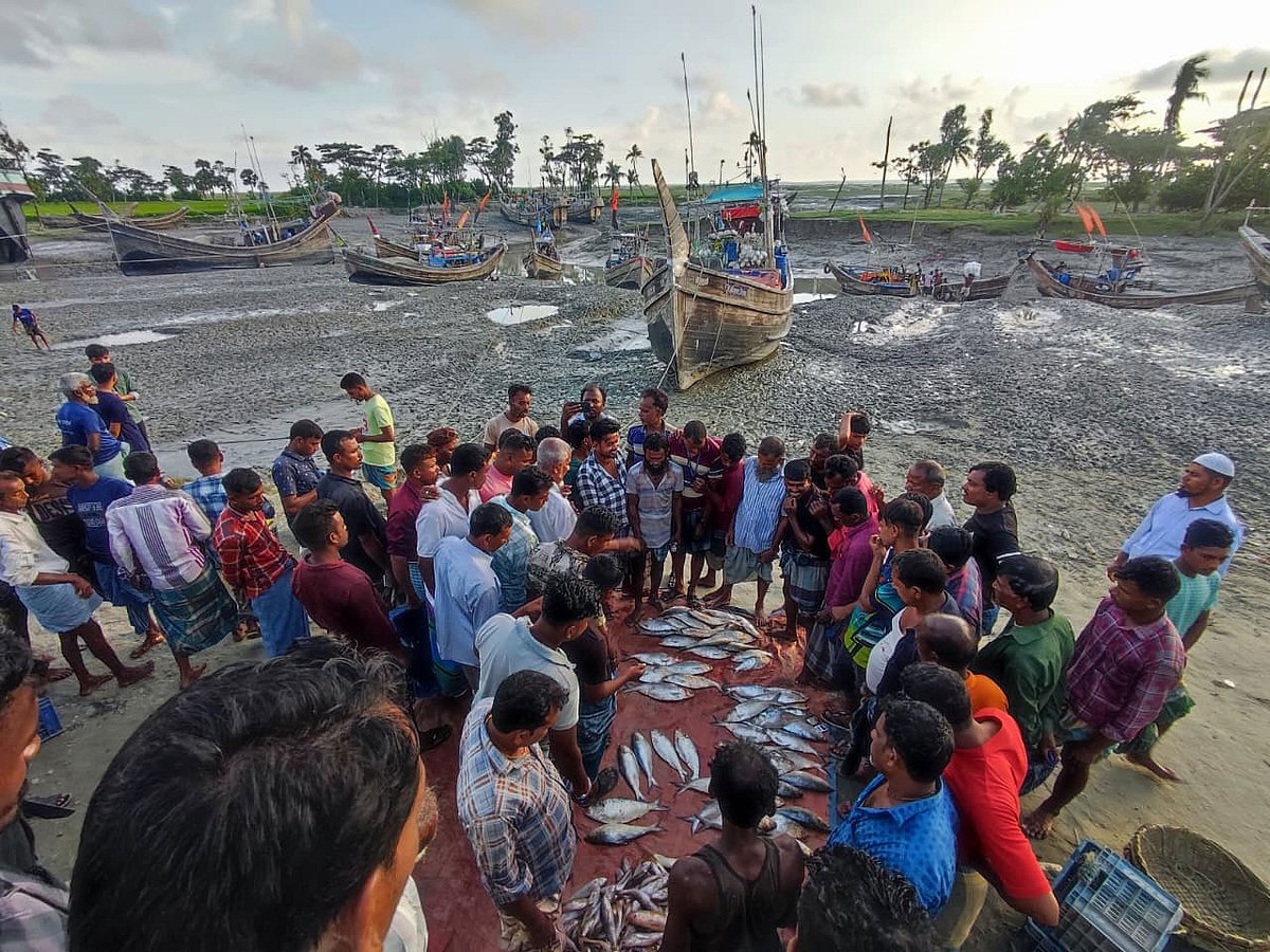 Hilsa fishing continues in Sandwip defying ban amid fishermen's complaints over lack of state aid