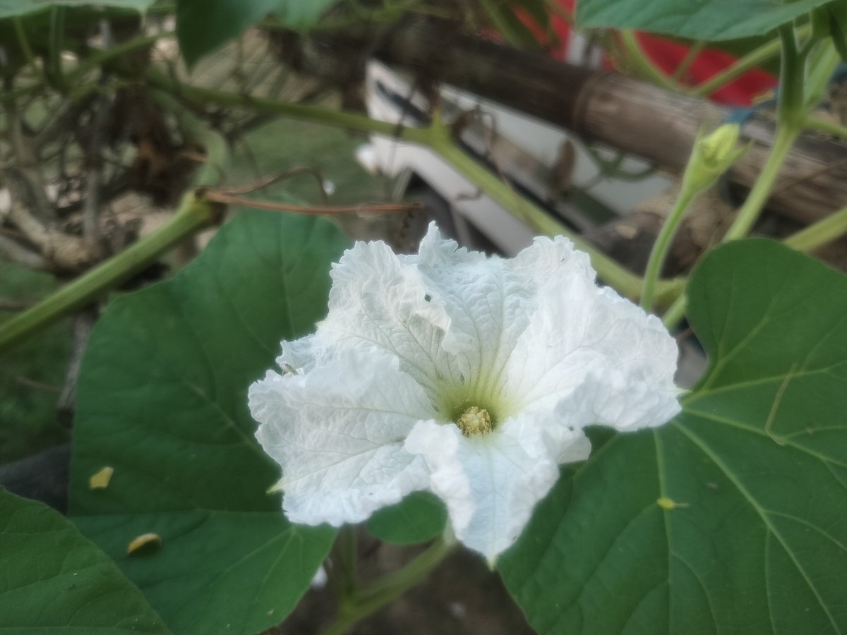 একঝলক (২৪ অক্টোবর ২০২৬)
