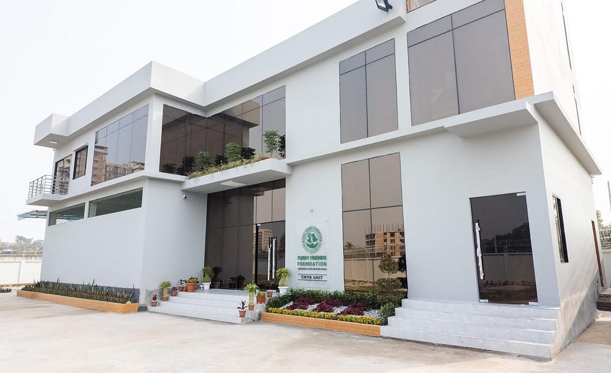Fari Friends Foundation Dedicates Efforts to Welfare and Protection of Stray Animals