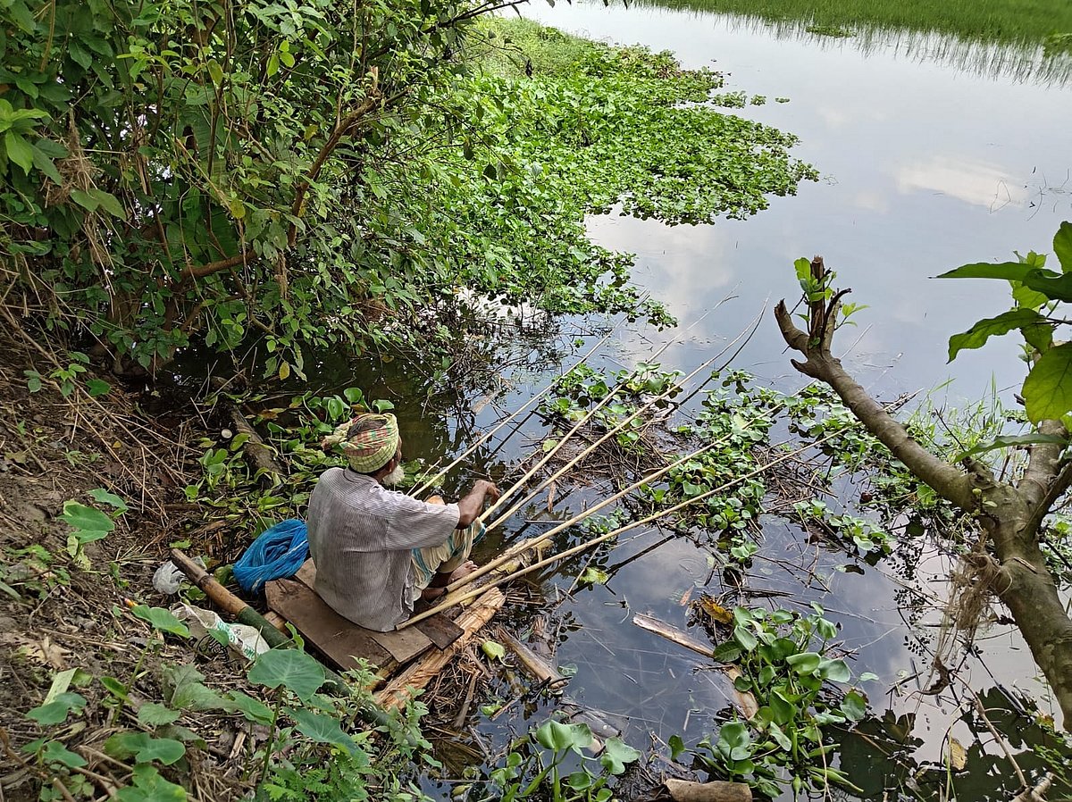 মাছ ধরার নেশা আর পেশা