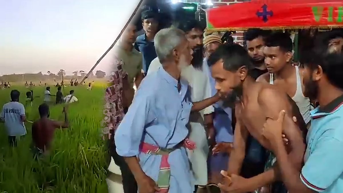 সীমান্ত পেরিয়ে বাংলাদেশে বাঘ, আক্রমণে আহত ৩